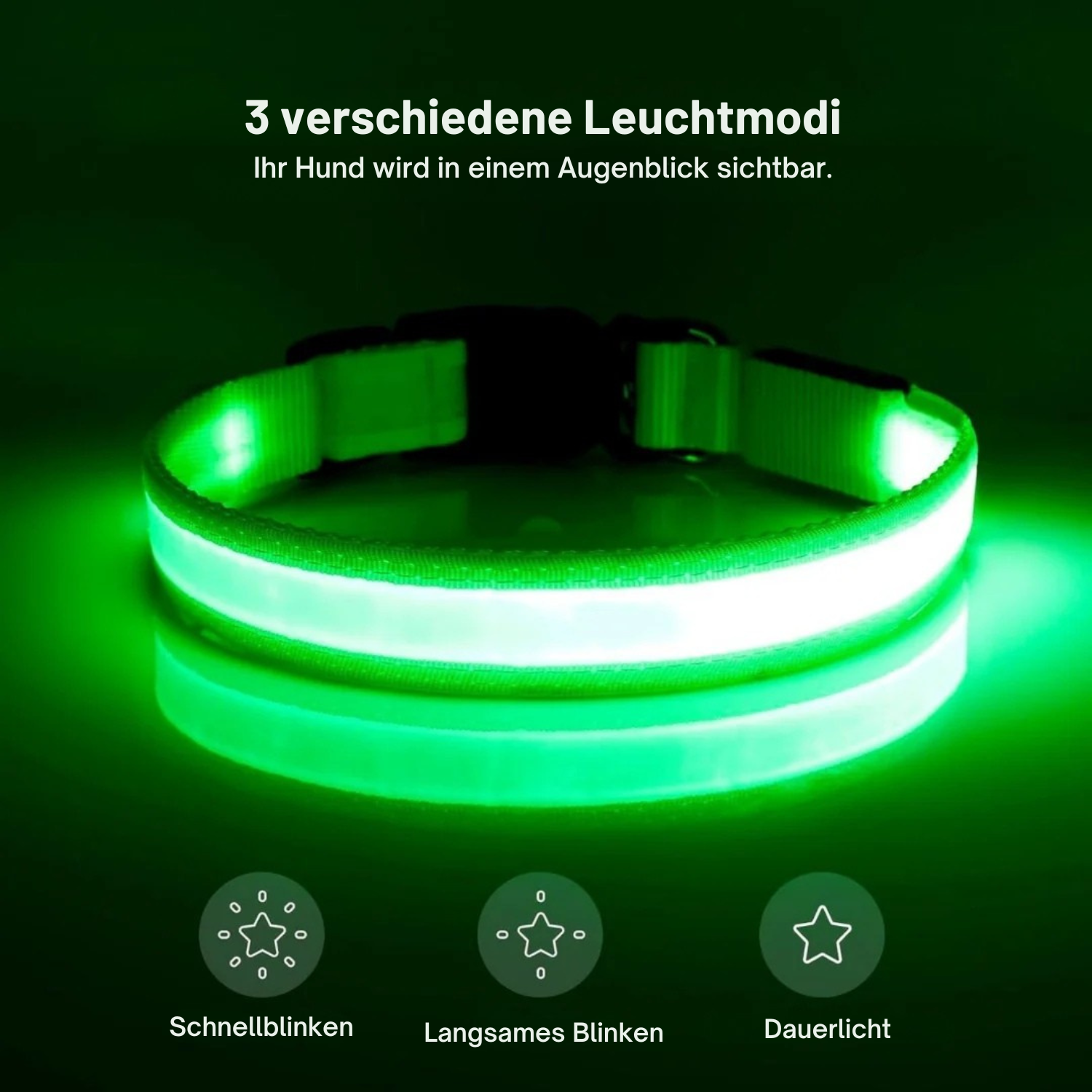 SafeLight