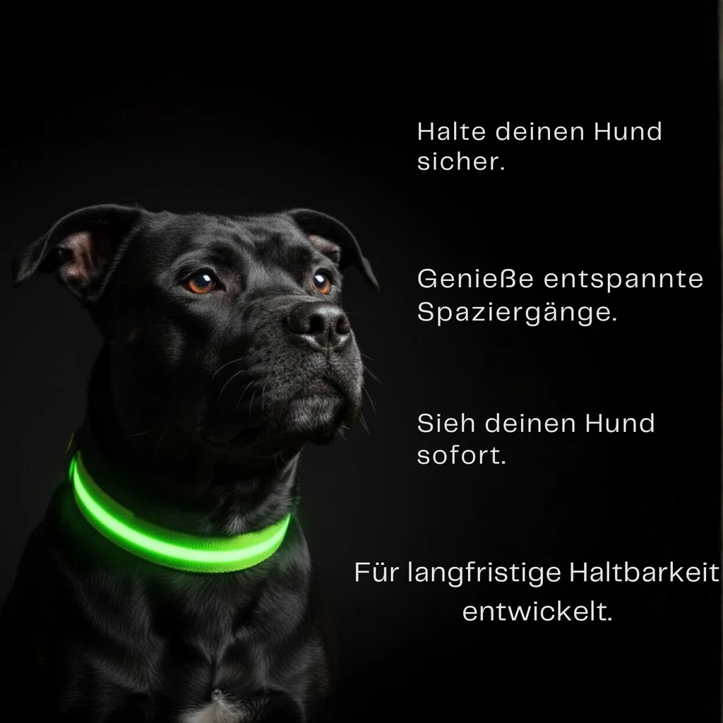 SafeLight
