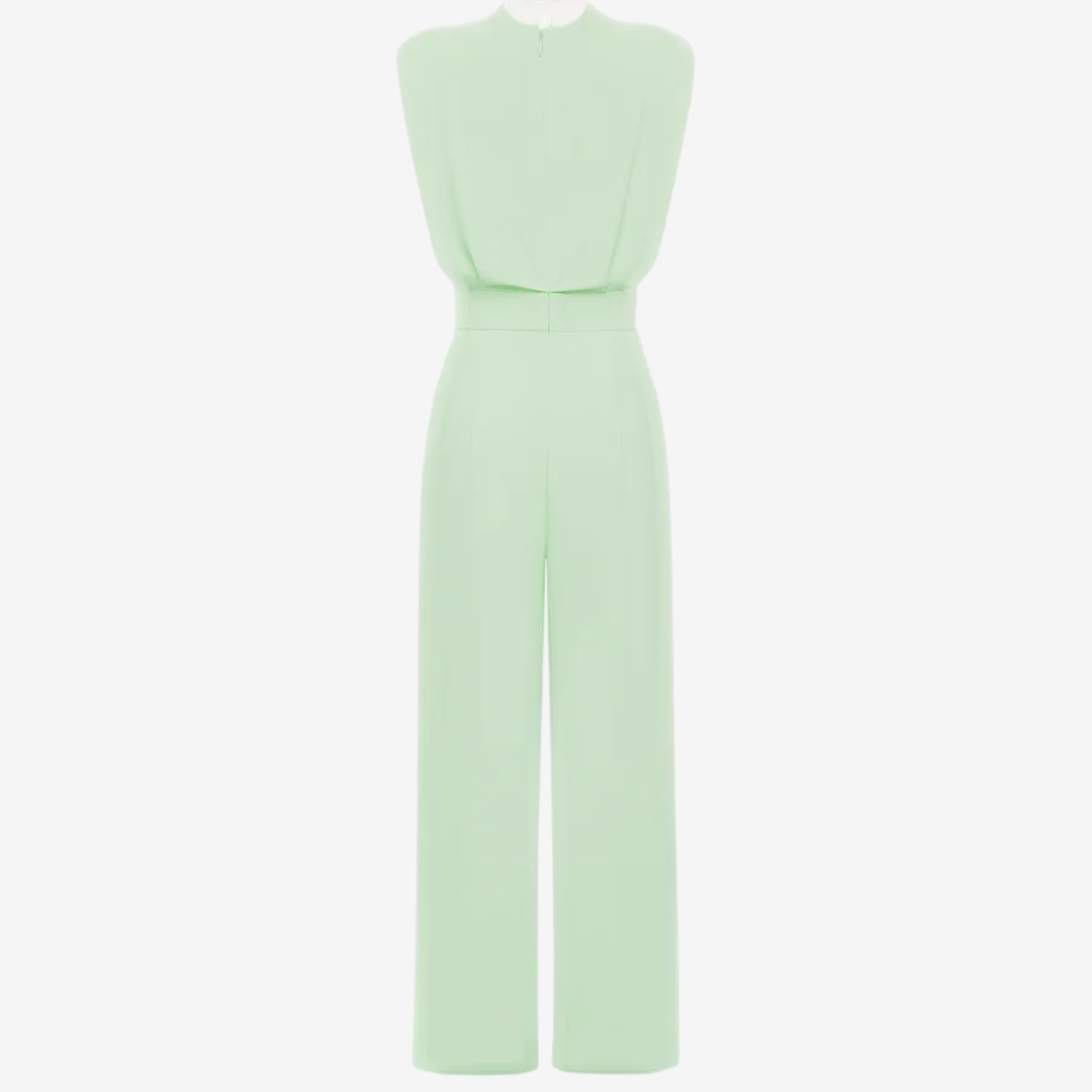Ariana™ Fitted Jumpsuit