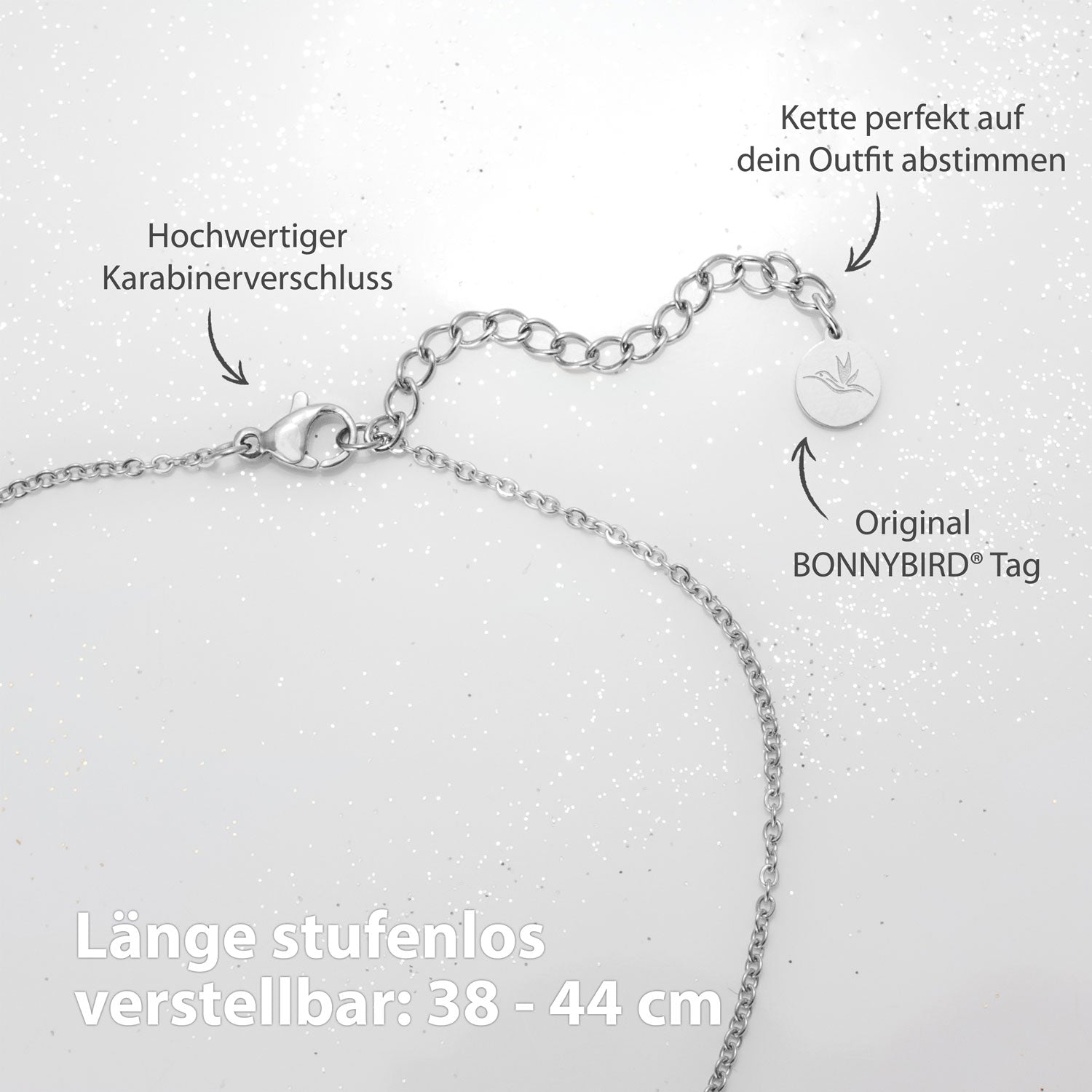 BonnyCoin necklace with silver plates