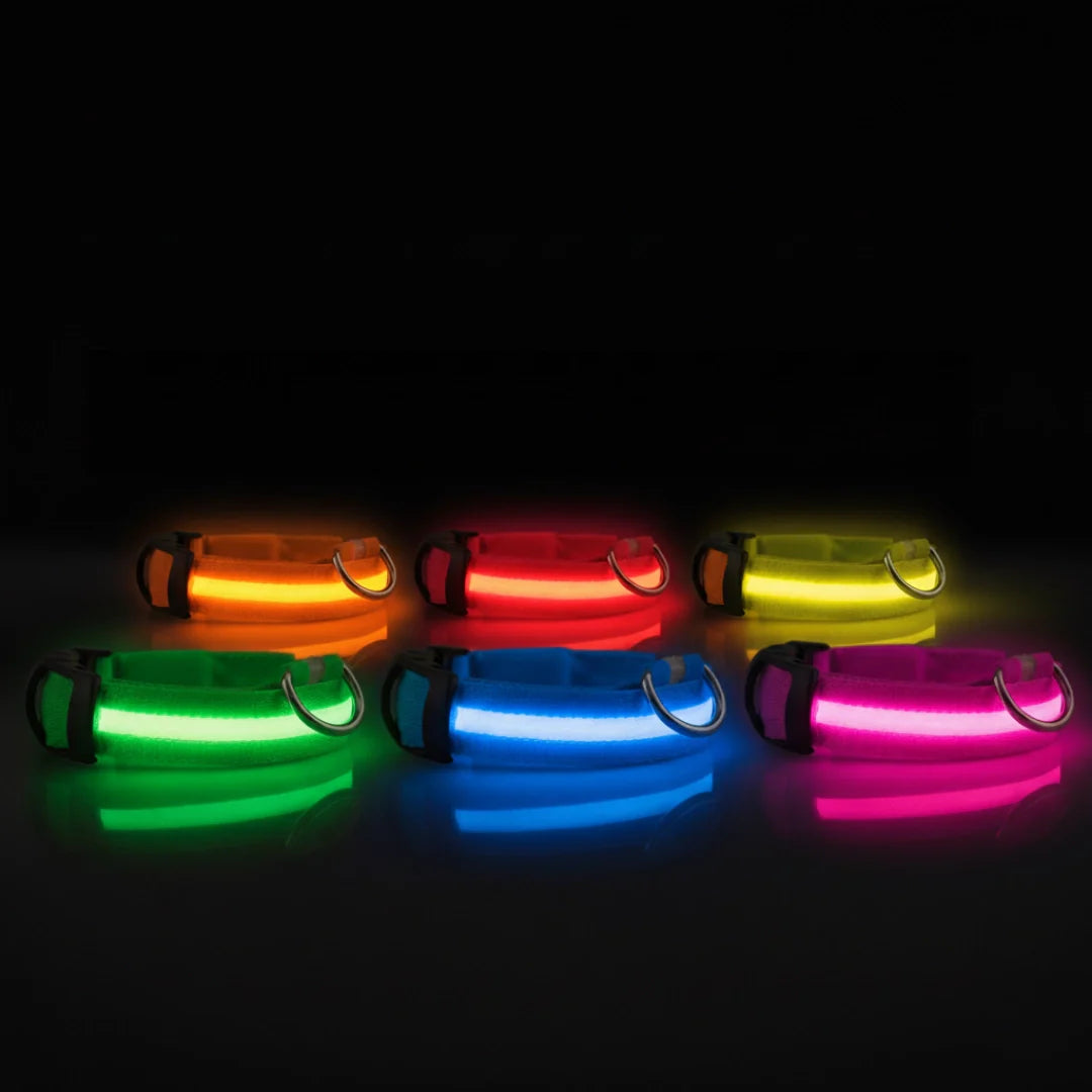 SafeLight