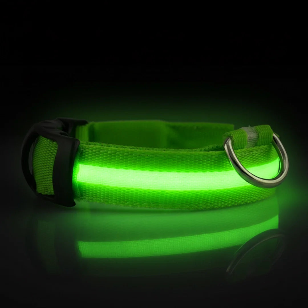 SafeLight