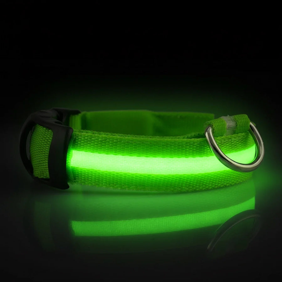 SafeLight