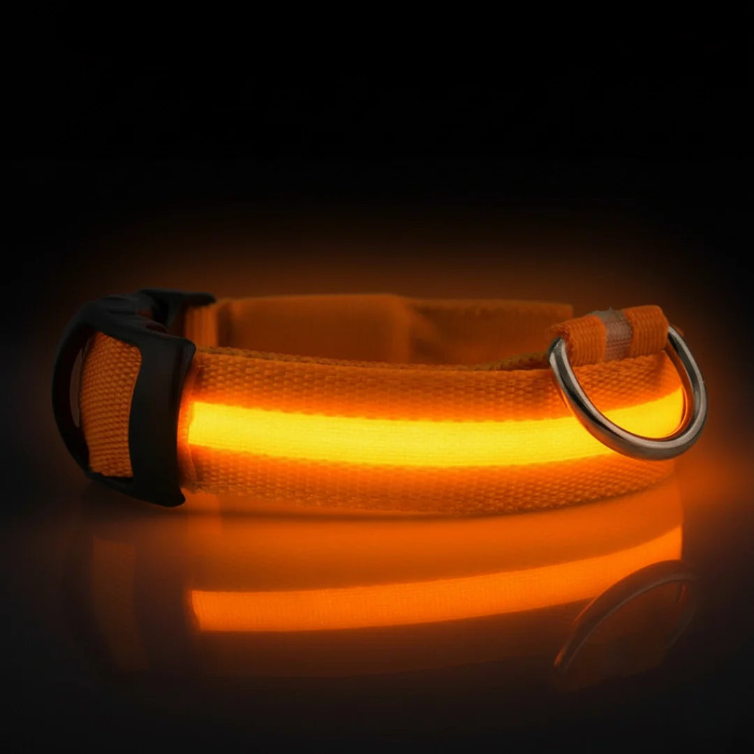 SafeLight