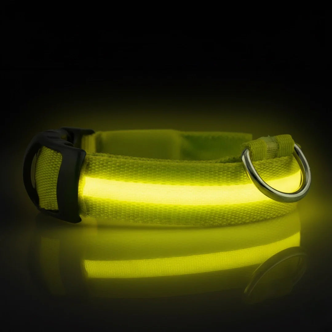SafeLight